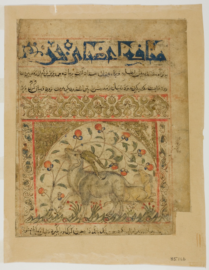 Two Goats from Manafi' al-Hayawan (On the Usefulness of Animals) of Ibn Bakhtishu'