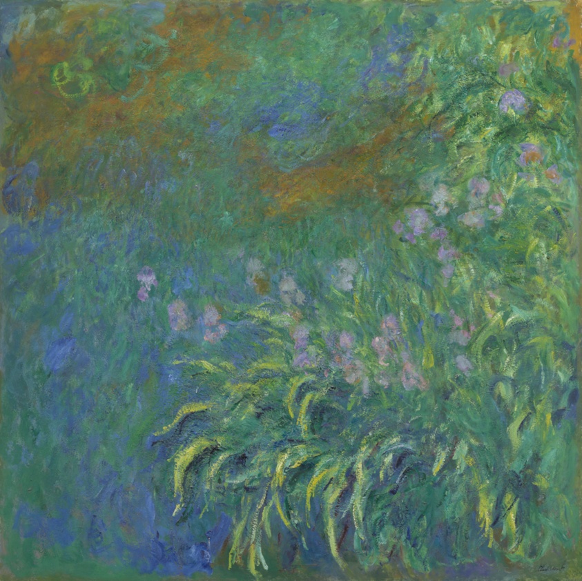 Irises
