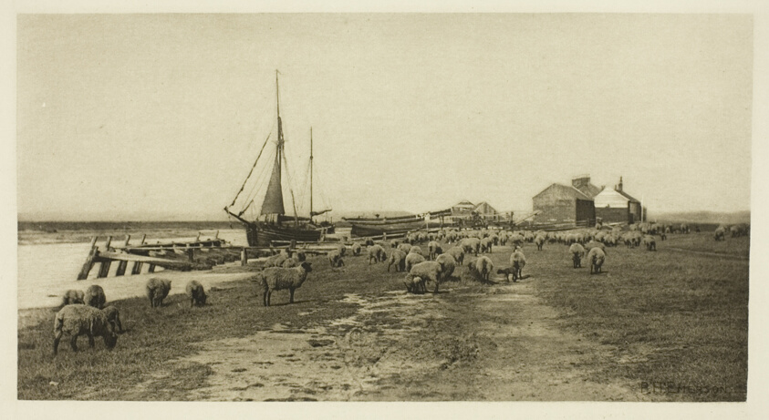 Blackshore, River Blythe (Suffolk)
