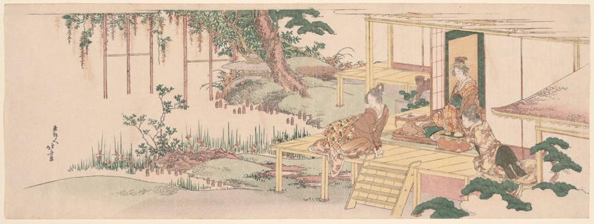 Admiring wisteria