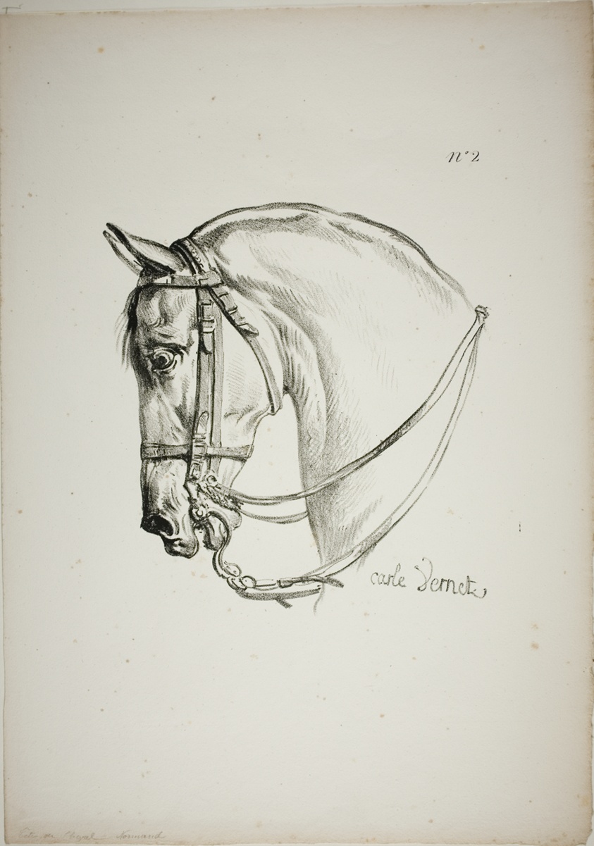 Detail of Horse's Head, Enlarged to Triple Size, Norman Royal Guard, No. 2