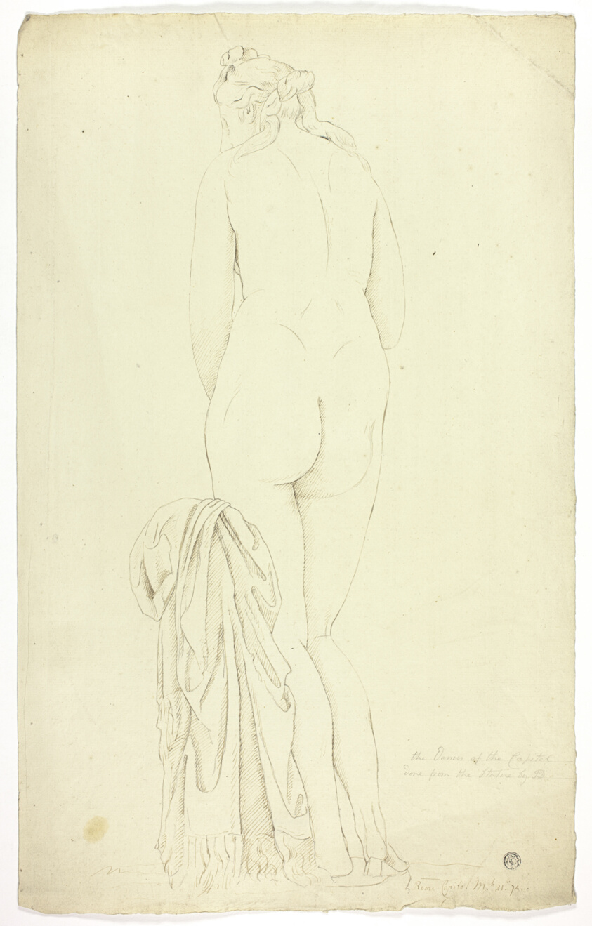 Study after Statue of the Capitoline Venus