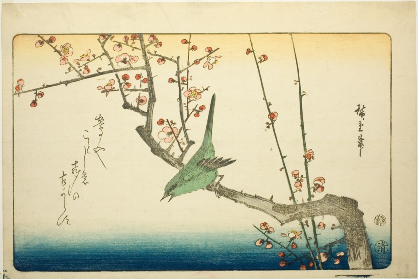 Bush warbler on plum branch