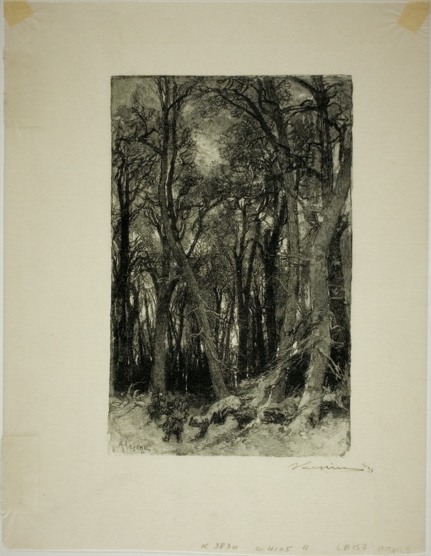 Winter: Bas-Bréau