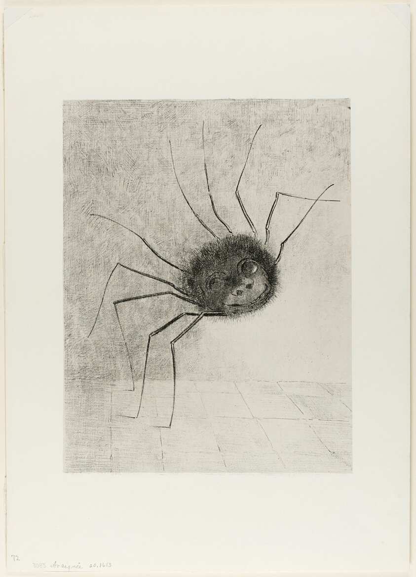 Spider