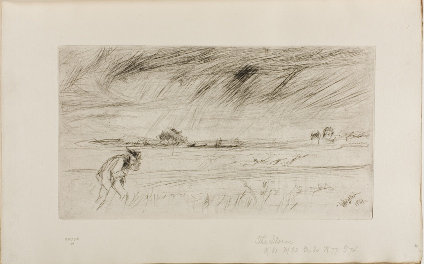The Storm