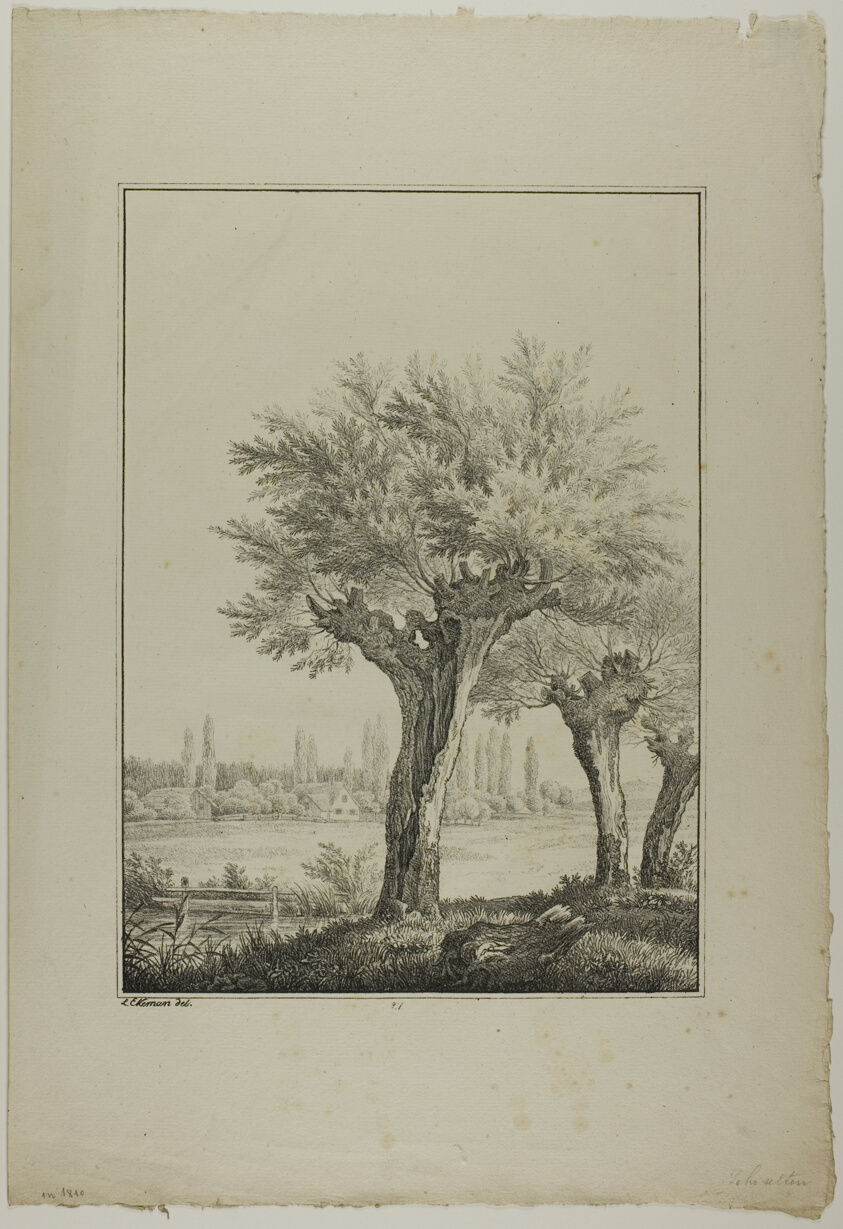 Plate 27 from Blatt Baum und Landschafts Studien