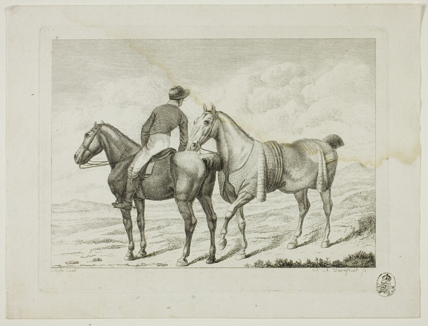 Riding School and Horses