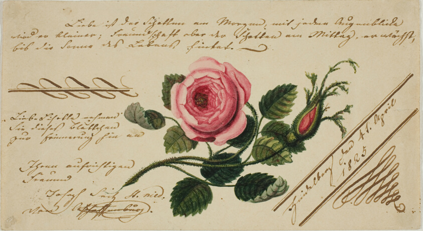 Untitled Valentine (Pink Flower)