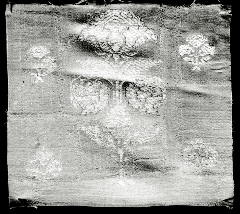Fragment (Dress Fabric)
