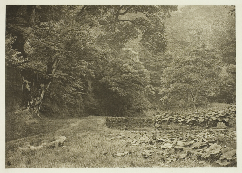A Quiet Nook in Beresford Dale