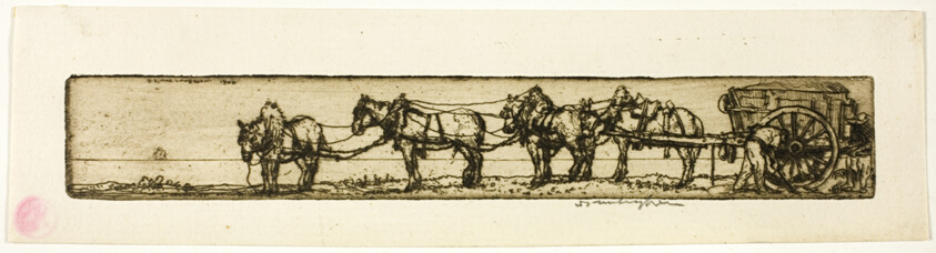 Draught Horses