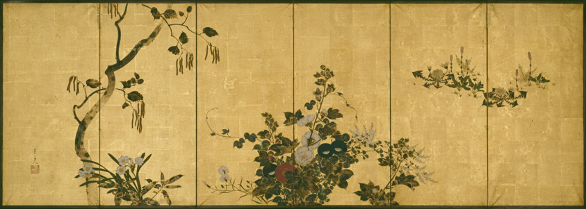 Flowers of Autumn and Winter