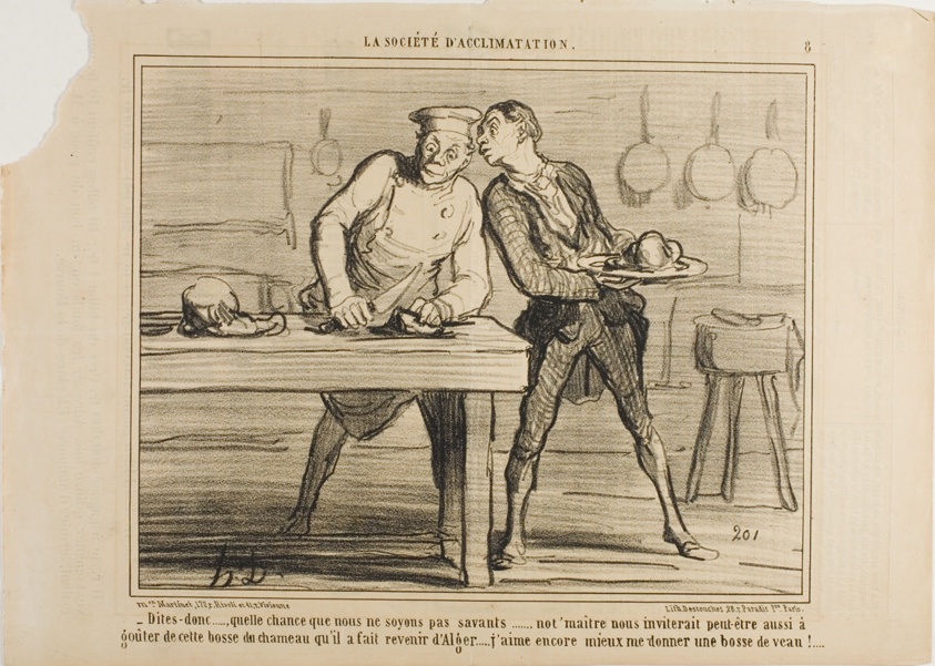 “- I am glad that we are not scientists, otherwise Monsieur would also invite us to taste this camel hump he ordered from Algeria… I'd rather enjoy a meal of veal hump!,” plate 8 from La Sopciété D'acclimatation