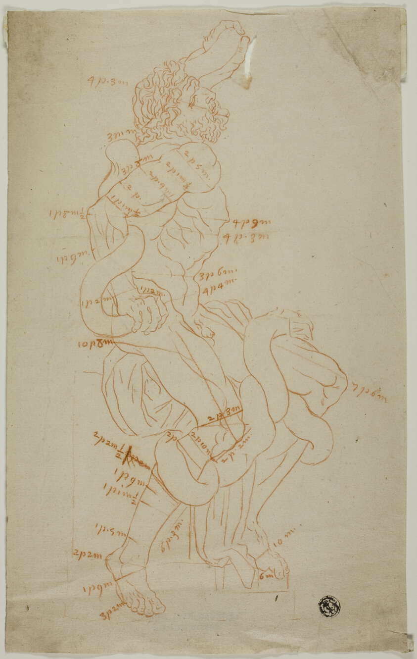 Study After Laocoon Sculpture