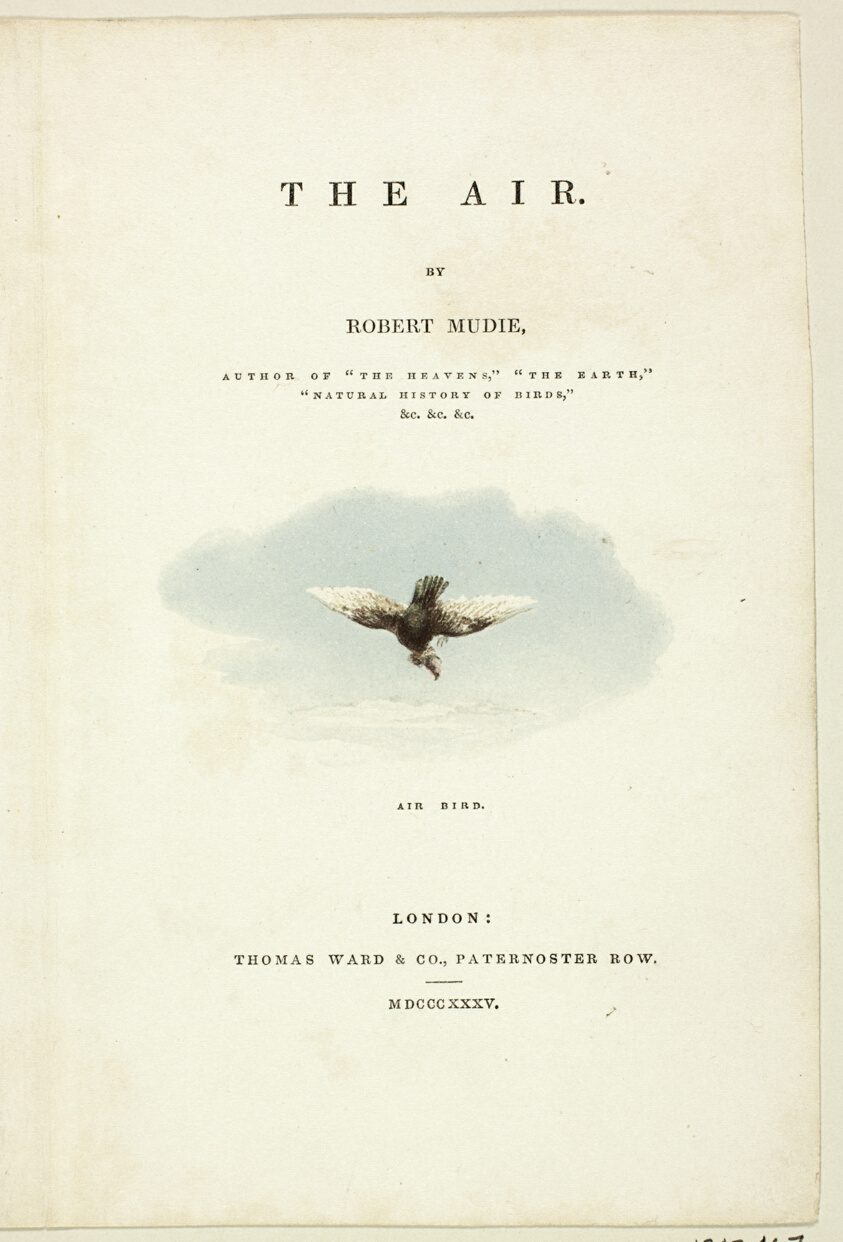 Air Bird
