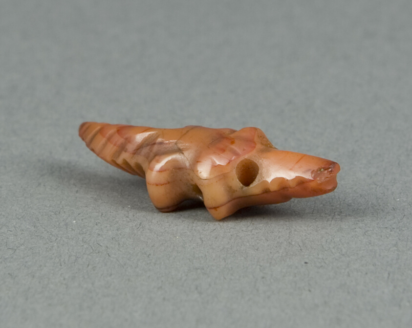 Amulet of a Crocodile