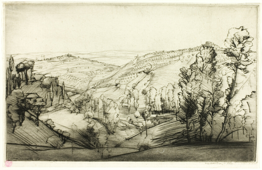 Fields of San Gimignano