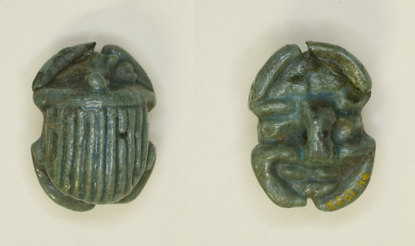 Scarab