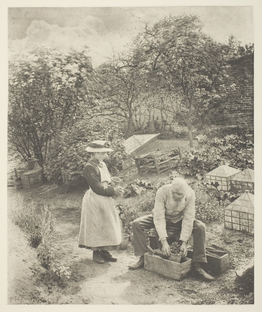 A Garden End (Suffolk)
