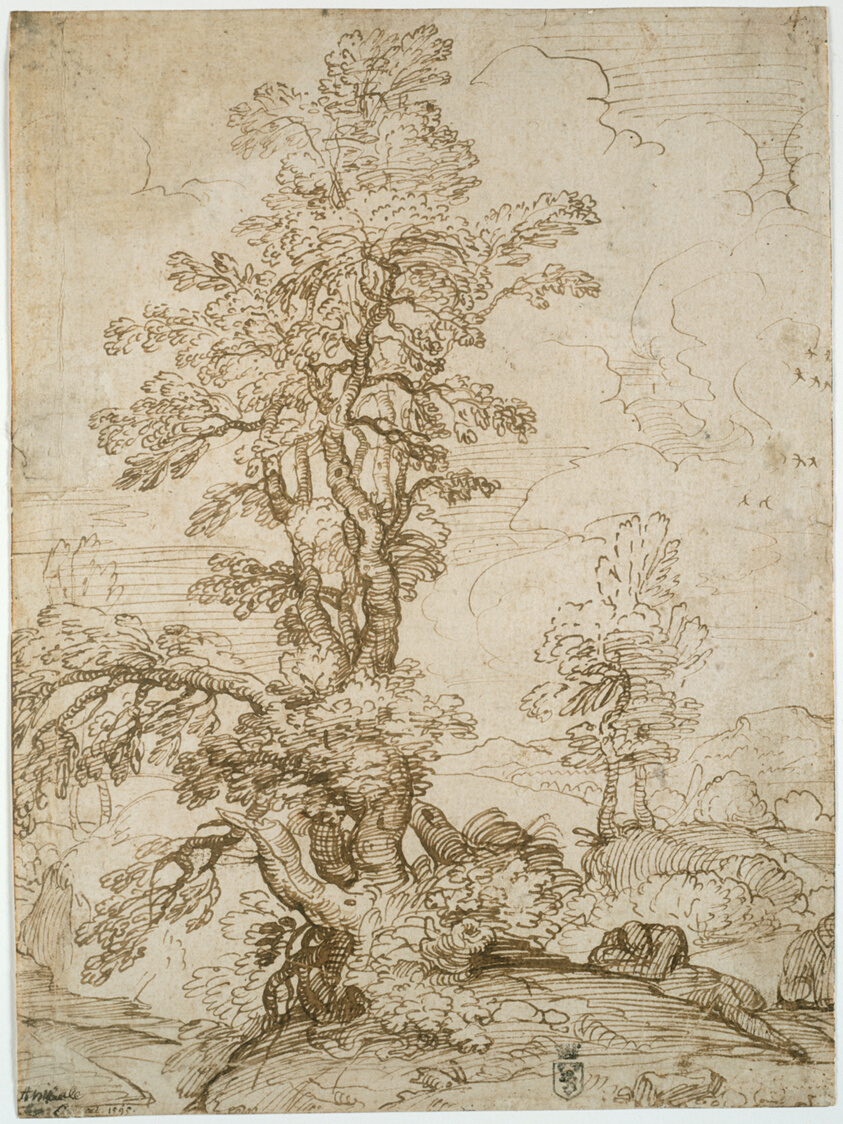 Landscape with Man Sleeping beneath Tree (recto); Landscape with a Horseman (verso)