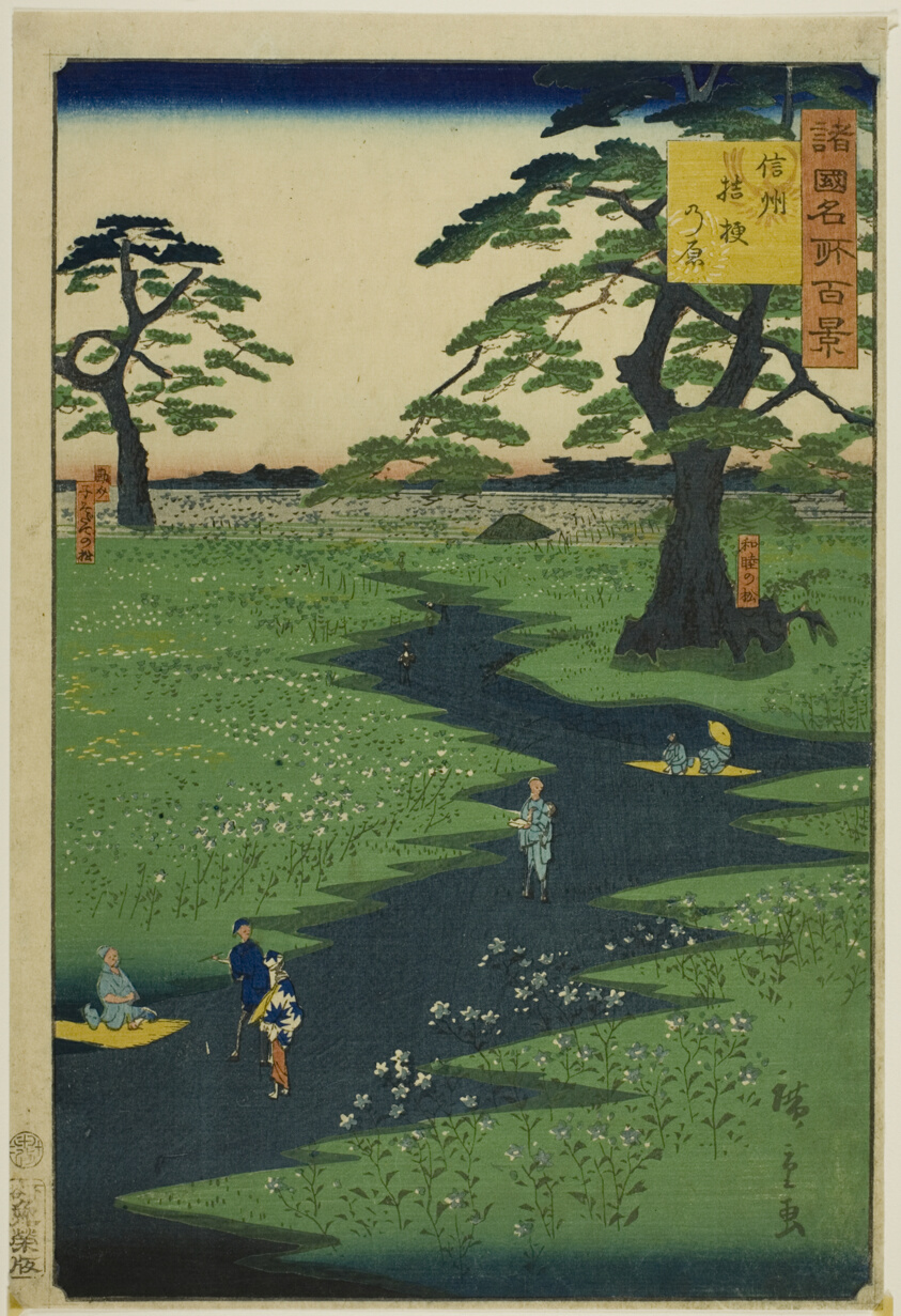 Kikyo Plain, Shinshu Province (Shinshu Kikyogahara) from the series “One Hundred Famous Views in the Various Provinces (Shokoku meisho hyakkei)”