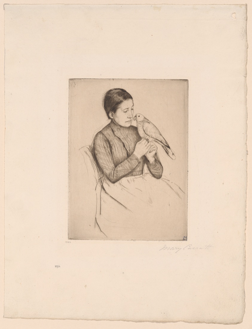 The Parrot