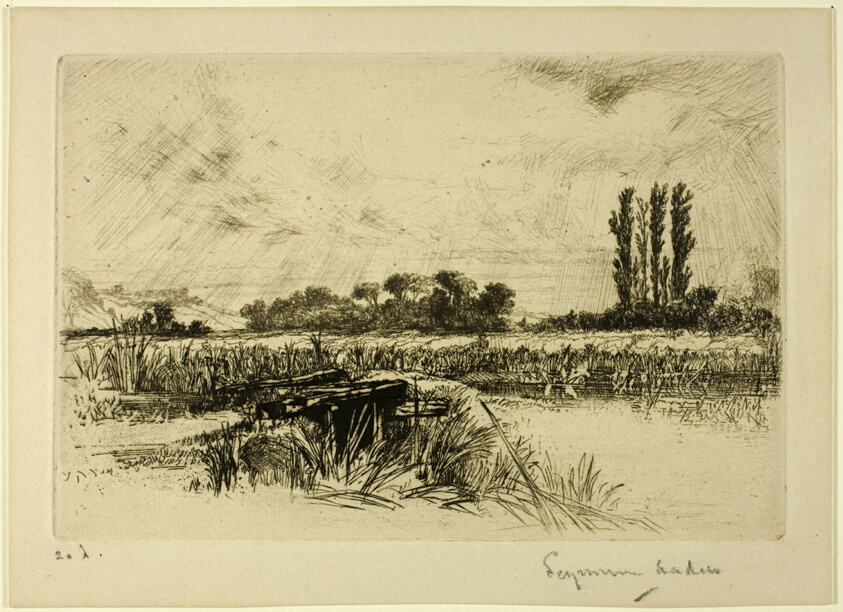 A Water Meadow