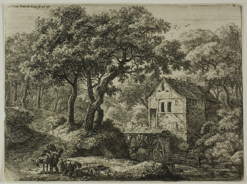 The Mill in the Woods