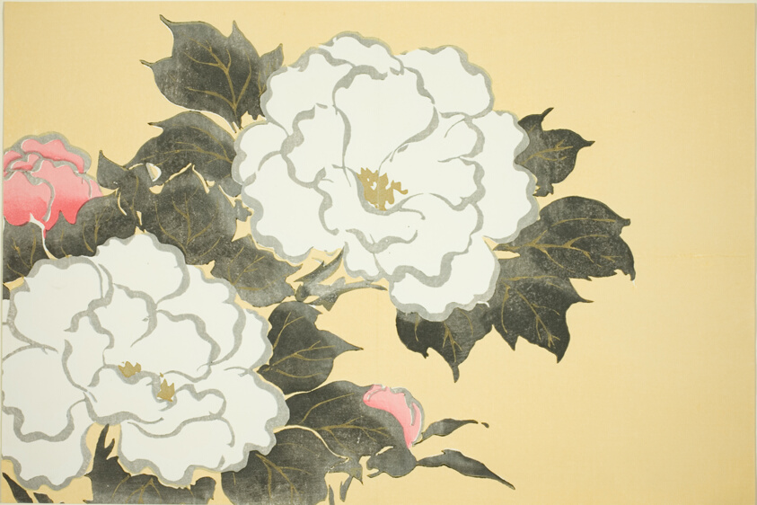 Peonies, from the series "Worlds of Things (Momoyogusa)"