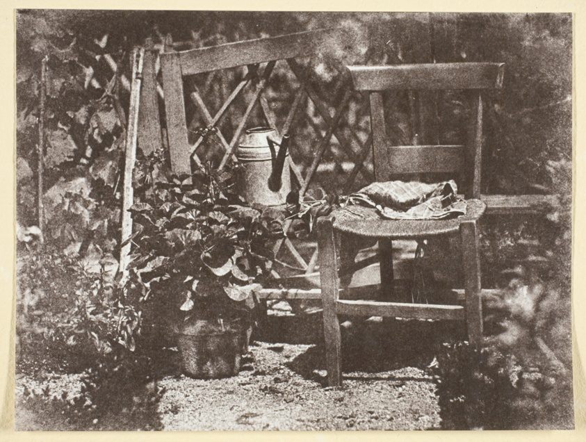 Chaise dans un Jardin
