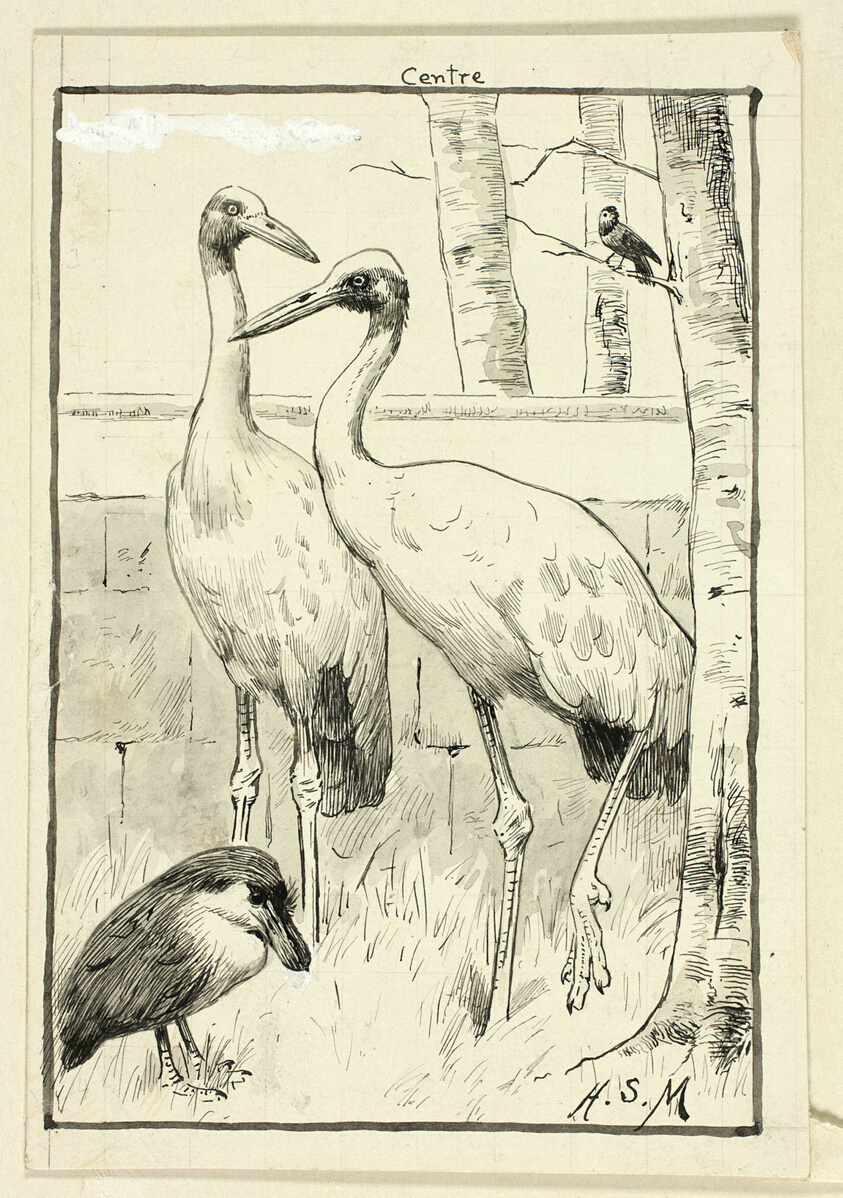 Four Birds in Landscape
