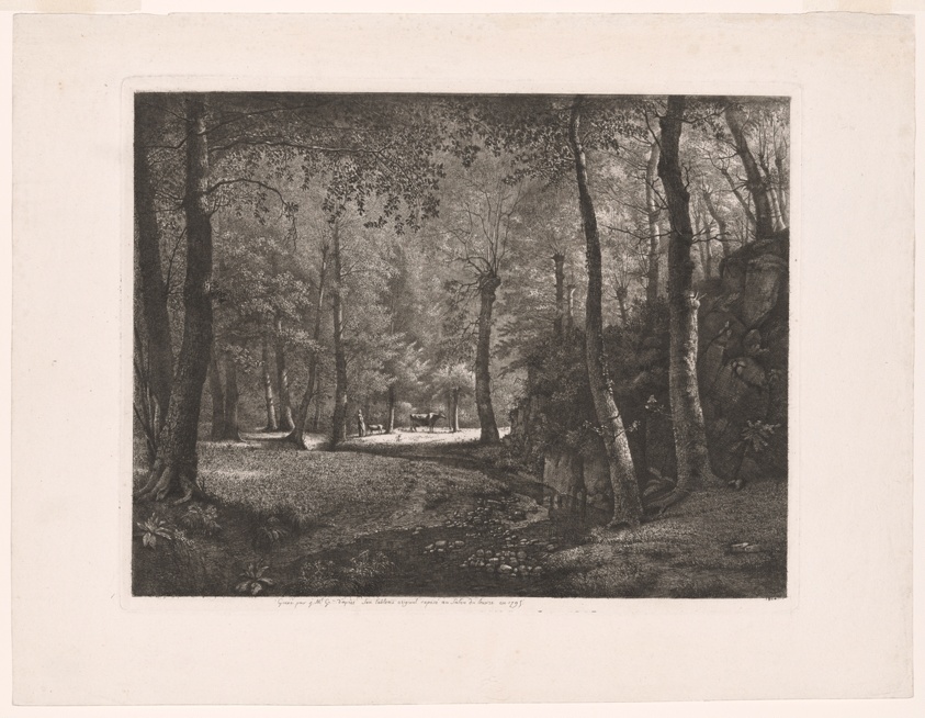 The Forest of Rochecardon