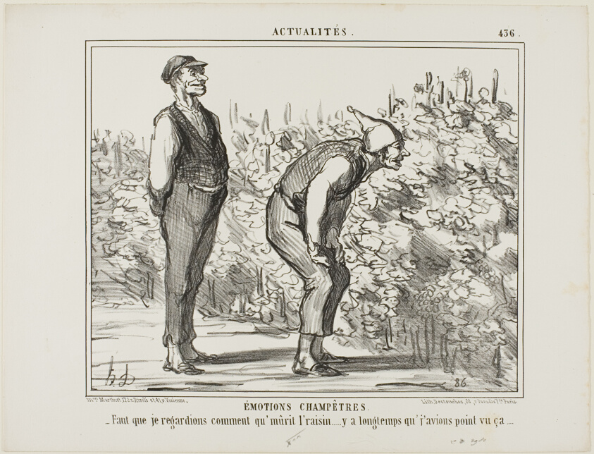 Emotions From the Countryside. “- Have to see how the wine grows… haven't never seen it before…,” plate 436 from Actualités