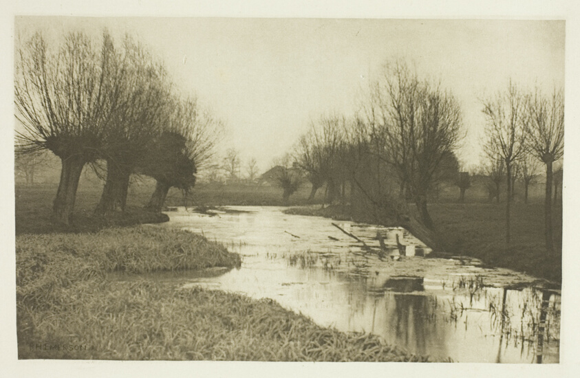 A Backwater on the Lea