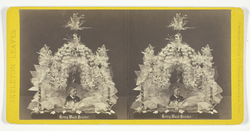 Henry Ward Beecher, from the series "Skeleton Leaves"