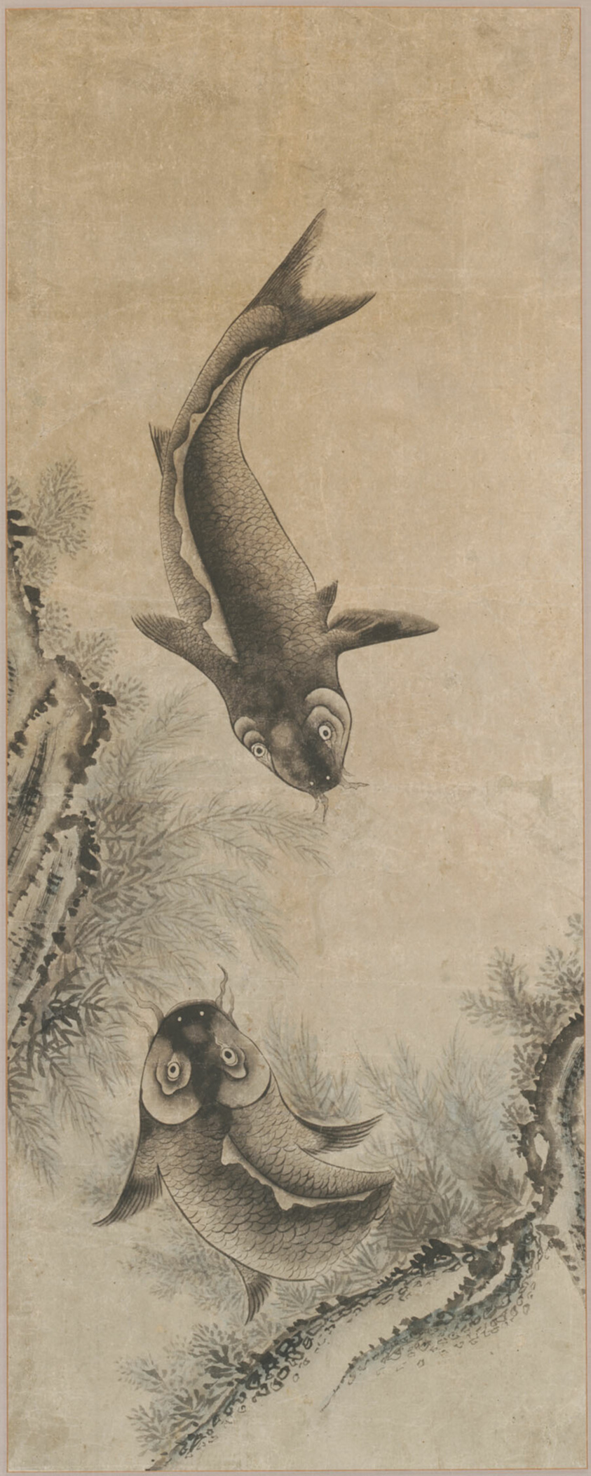 A Pair of Carp