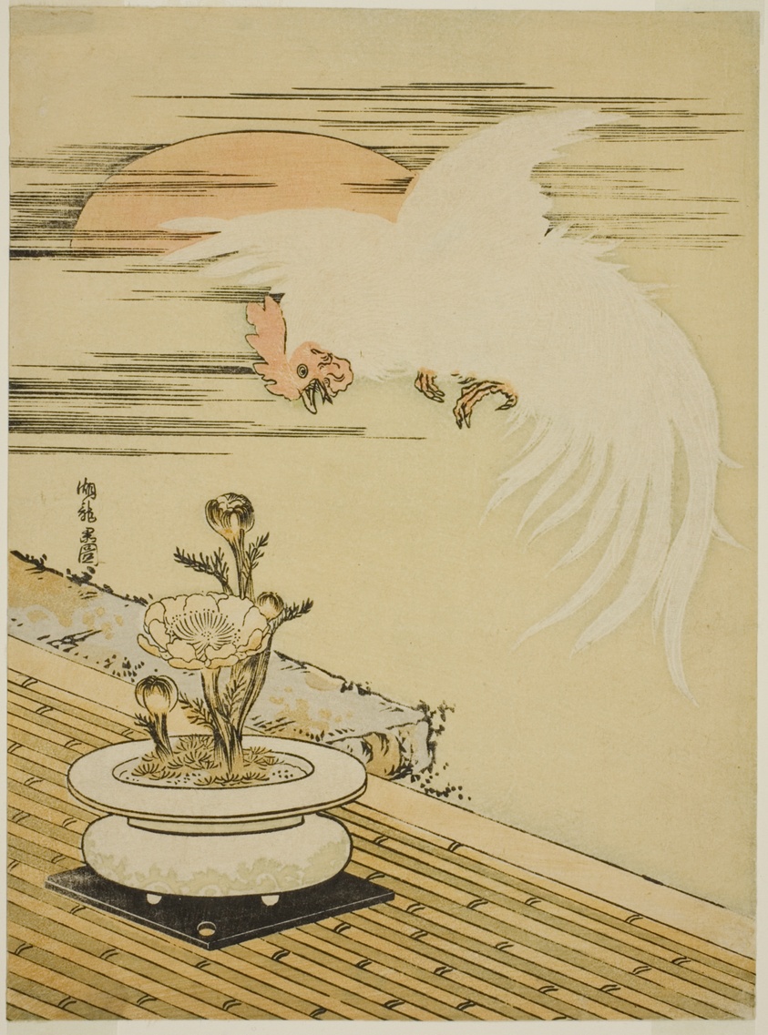 Cock Flying Over Pot of Adonis