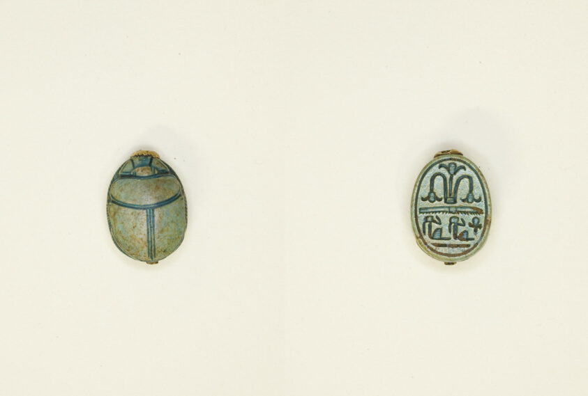 Scarab: Floral Motif