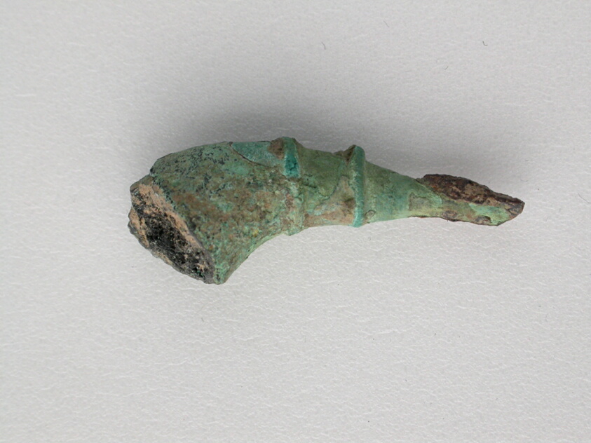 Fibula Fragment