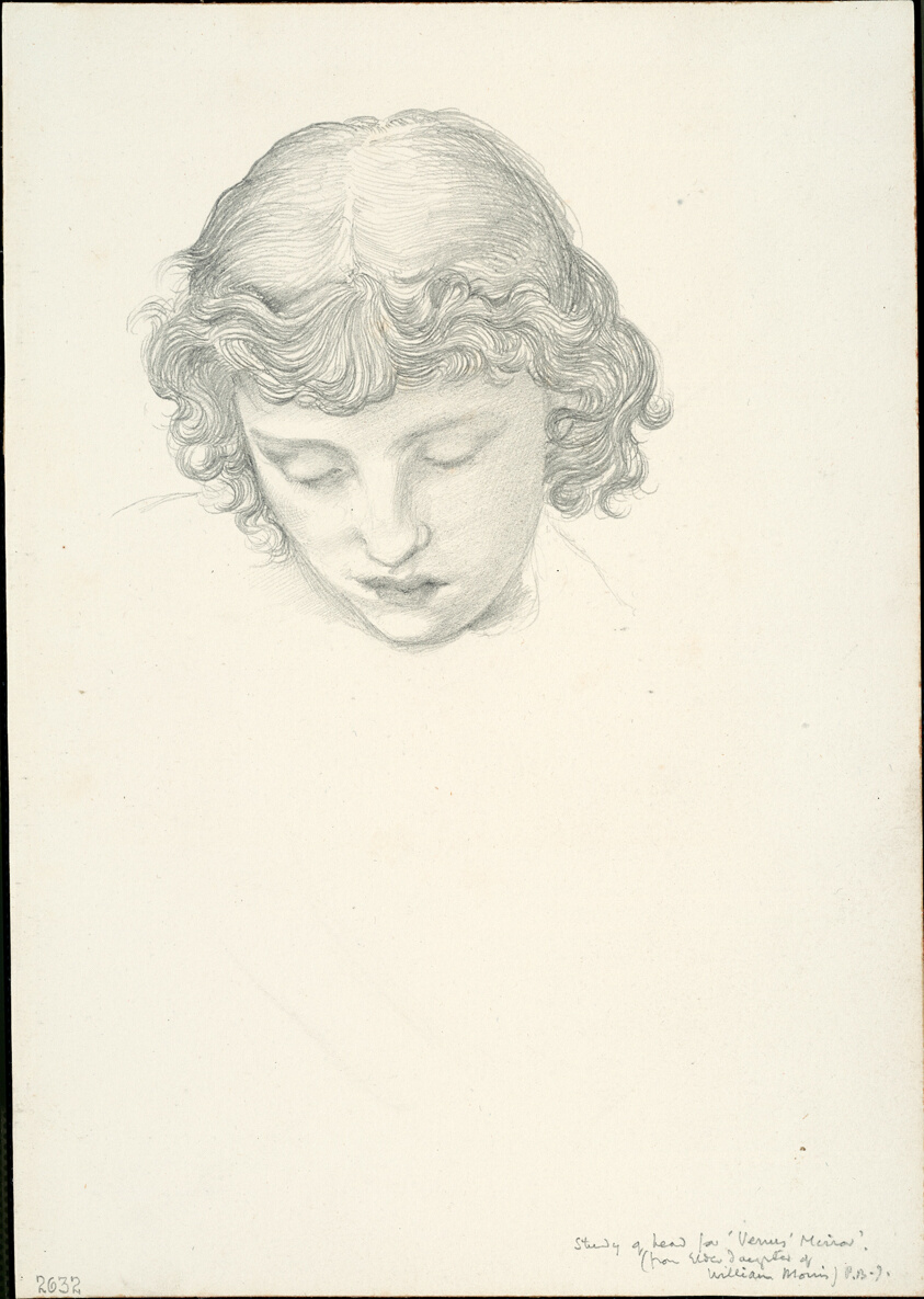 Study for Mirror of Venus: Head