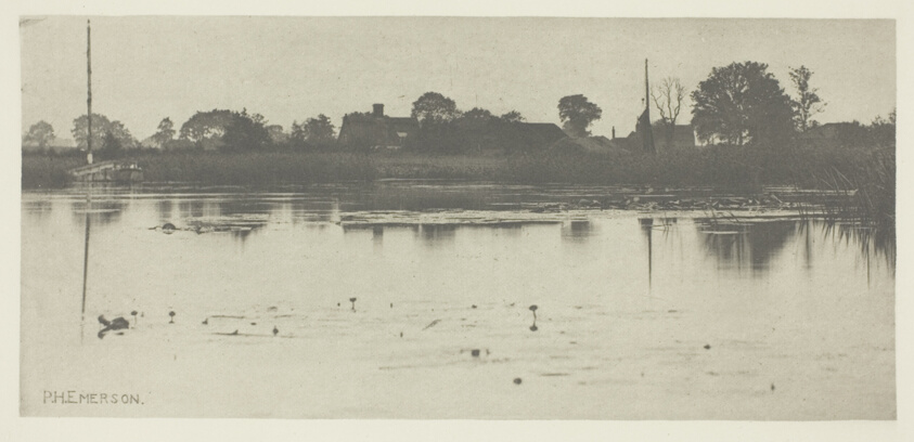 The Fringe of the Mere