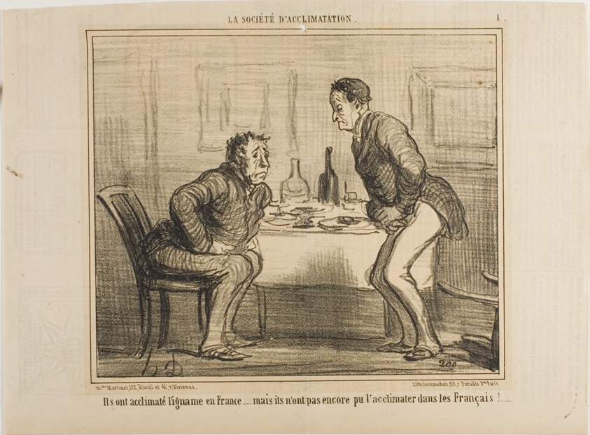 They succeeded in acclimatizing the Indian potato to the French climate, but it is still a problem to acclimatize the French to the Indian potato!, plate 1 from La Société D'acclimatation