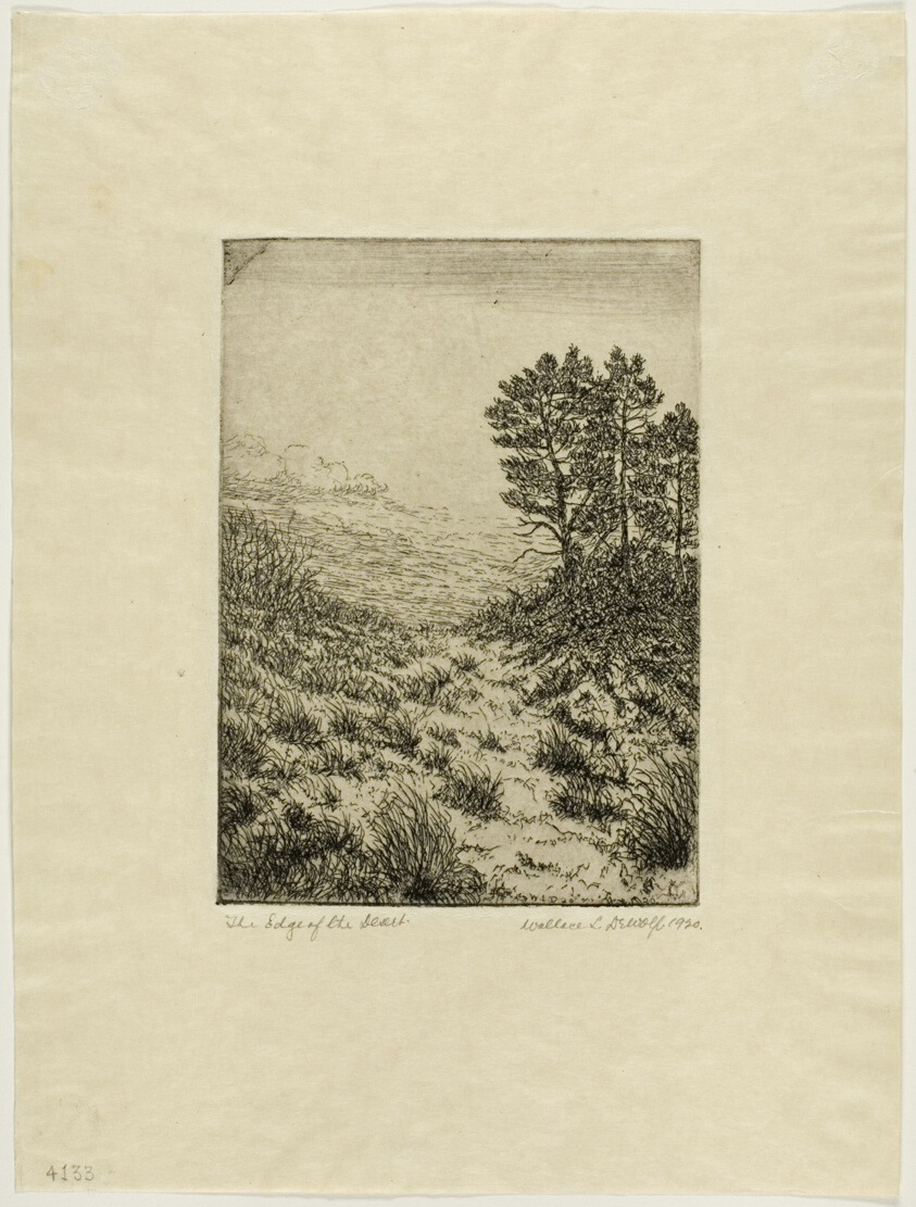 The Edge of the Desert