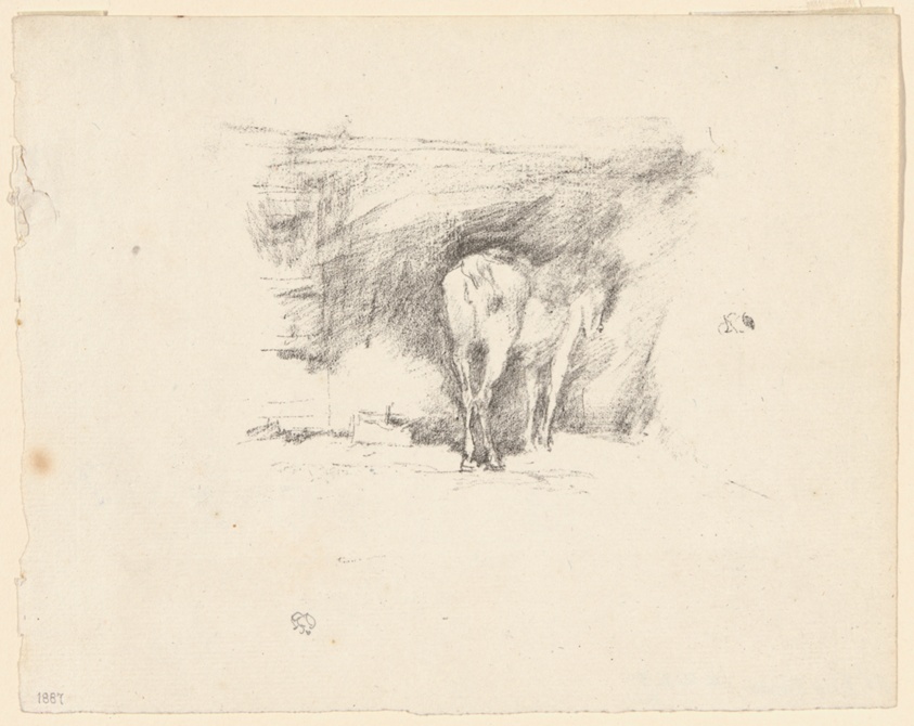 Study of a Horse