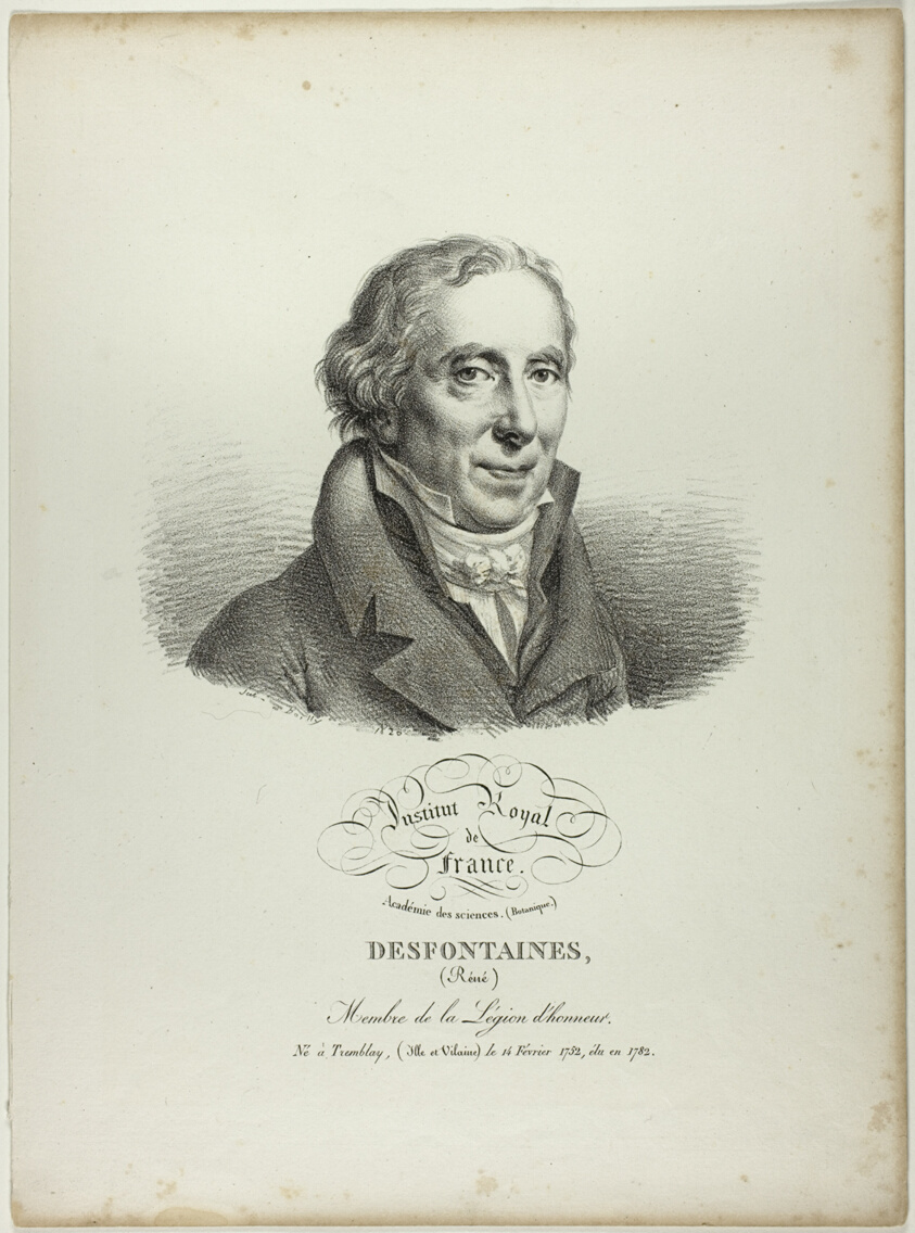 Portrait of Réné Desfonataines