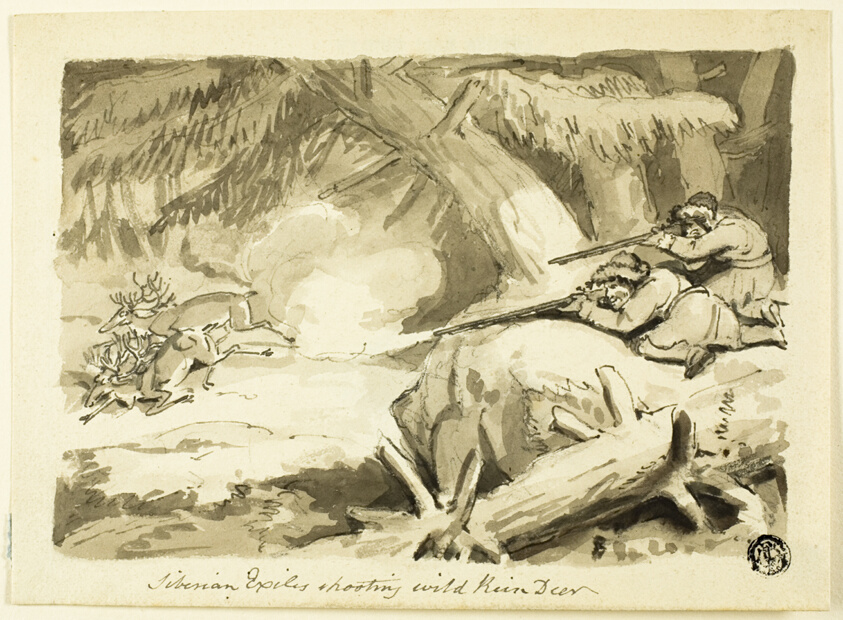 Siberian Exiles Shooting Wild Reindeer (recto); Shell (verso)