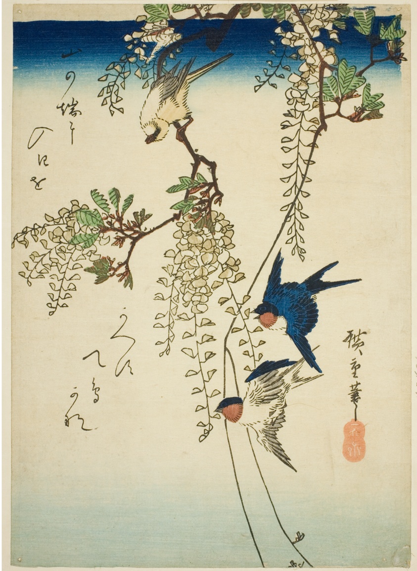 Swallow, yellow bird, and wisteria
