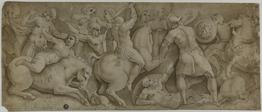 Battle of the Amazons