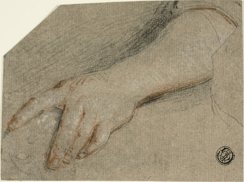 Hand Pointing and Forearm